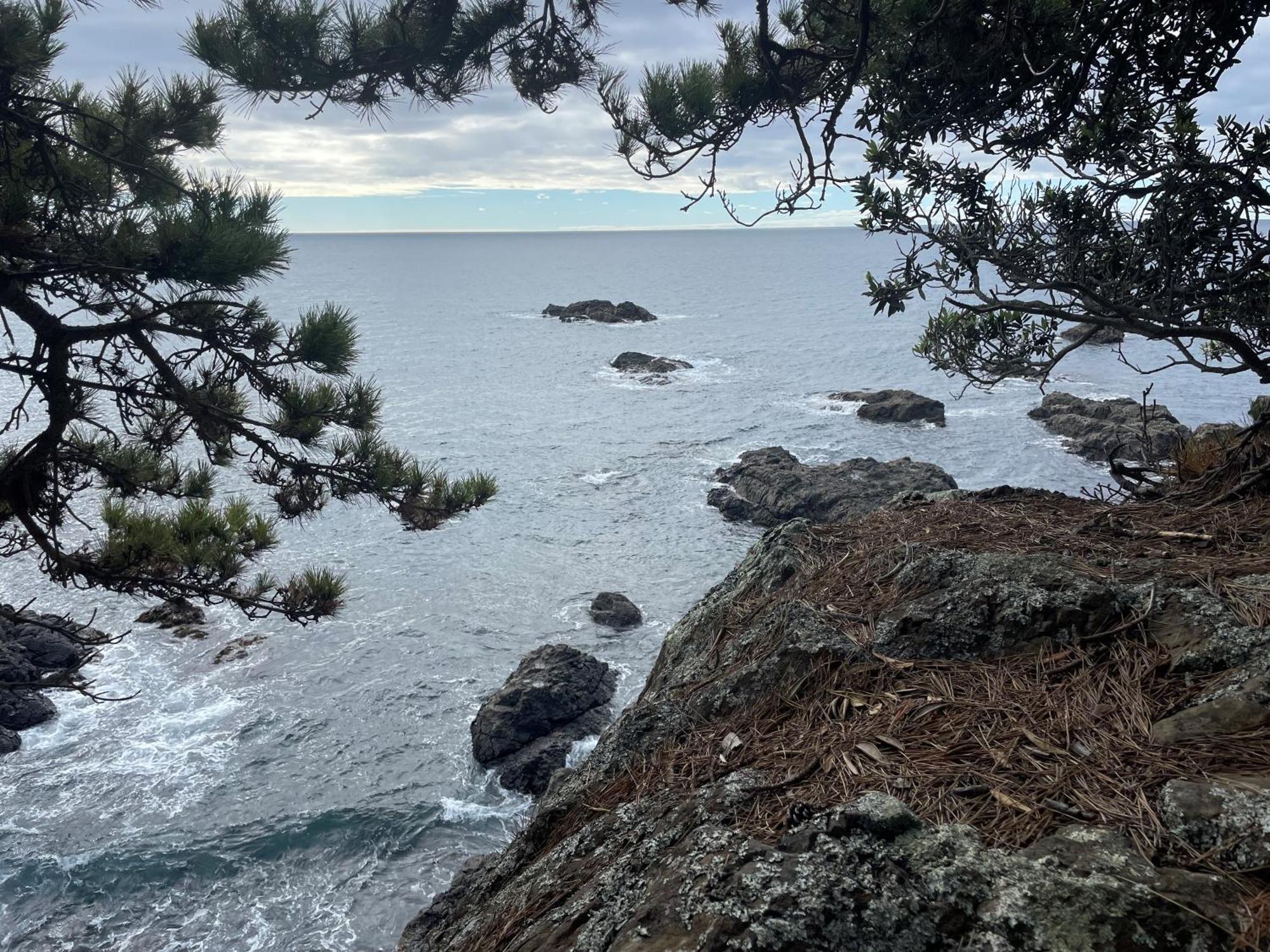 Lottin Point Motel Cape Runaway Екстериор снимка